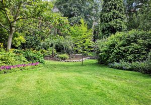 Optimiser l'expérience du jardin à La Neuve-Grange